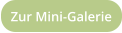 Zur Mini-Galerie